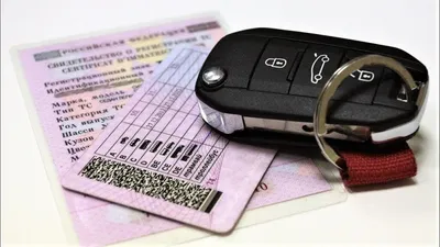 Беженцы с Донбасса смогут получить российские водительские права без сдачи  экзаменов | Саратов 24