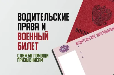 МВД заменит водительские права ДНР и ЛНР на российские без экзаменов — РБК