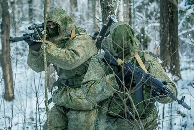 Лэпбук \"Военные профессии\" - \"Академия педагогических проектов Российской  Федерации\"