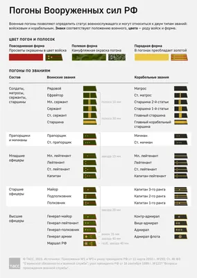 Воинские погоны звания картинках