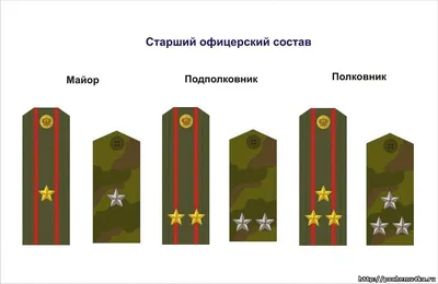 Погоны, Воинские Звания И Знаки Отличия Иллюстрация На Белом Фоне Клипарты,  SVG, векторы, и Набор Иллюстраций Без Оплаты Отчислений. Image 15908767