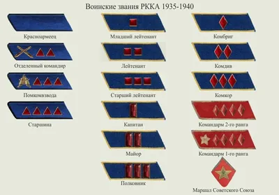 Воинские звания в Вооружённых Силах Российской ФедерацииНа мотивы поста  http://joyreactor.cc/post/15 / песочница политоты :: Я ватник :: разная  политота :: воинские звания :: армия россии :: политика (политические  новости, шутки и мемы) /