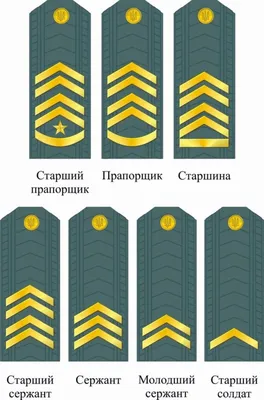 какие воинские звания носят наши военнослужащие и как это узнать по их  погонам - Школьные Знания.com