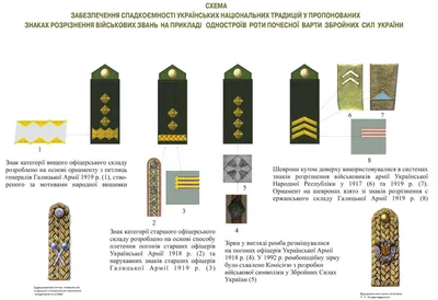 Знаки различия воинских званий в одной инфографике | SCAPP