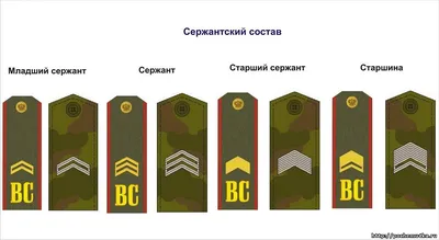 Какие бывают воинские звания и погоны? - Праздники - Почемучка - Библиотека  - ПочемуЧка - Сайт для детей и их родителей