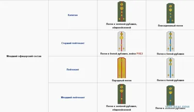 Начинал войну генерал-майором, через 19 месяцев войны - Маршал Советского  Союза | Черёмин А.А. Книги по истории | Дзен