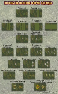 Как читать военные погоны. Определяем звание по звездам и другим знакам  различия