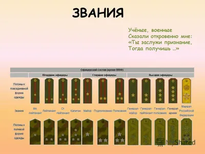 Украина стала ближе к НАТО: Рада ввела новые воинские звания — бригадный  генерал и коммодор | Новости Одессы