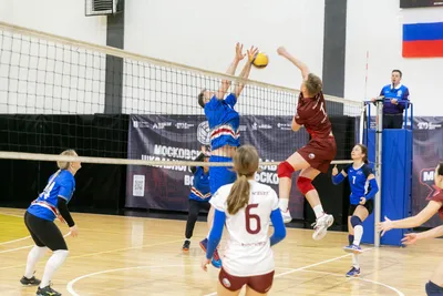 Пин от пользователя Masalguven на доске Voleybol | Волейбол фотографии,  Фотографии волейбола, Волейбол