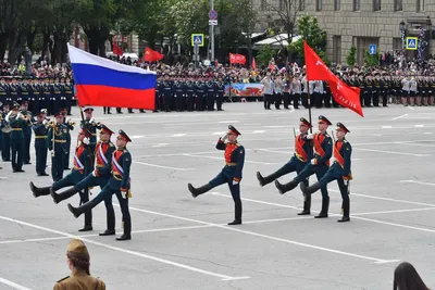 Фотография Фотография (коллаж Мой любимый Волгоград) №93580 - «МОЙ ЛЮБИМЫЙ  ГОРОД» (09.12.2023 - 16:00)