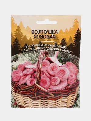 Волнушка розовая (Lactarius torminosus)