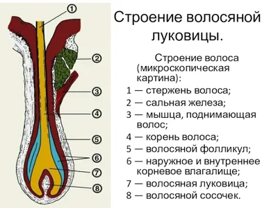 Плохой, очень плохой инфобиз | Моё цветопредставление | Дзен