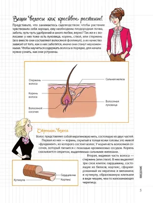 Значок Волосяной Луковицы — стоковая векторная графика и другие изображения  на тему Бьюти-спа - Бьюти-спа, Векторная графика, Волосяная луковица -  iStock