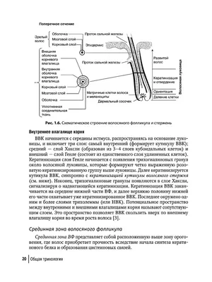 Покровная система медицинские плакаты от производителя с доставкой по РФ