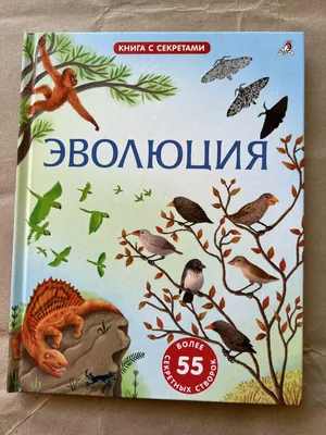 Концерт «Волшебные миры Хаяо Миядзаки» во Владивостоке 7 января 2024 в  FESCO Hall