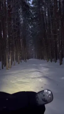 Волшебный сказочный зимний лес с …» — создано в Шедевруме