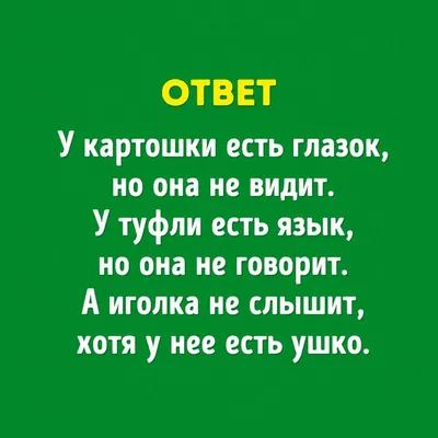 15 вопросов, на которые не смогли ответить знатоки «Что? Где? Когда?». А вы  сможете? / AdMe