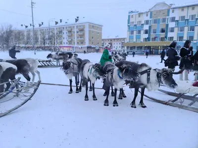 Знак «Воркута 67 параллель» — МБУ \"Благойстройство общественных территорий\"  г. Воркуты