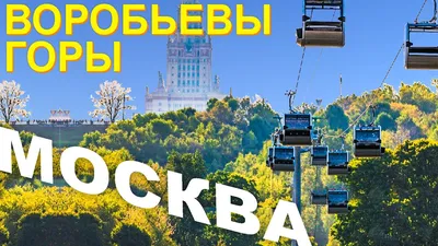 Воробьёвы горы (МГУ): свадьба в Москве