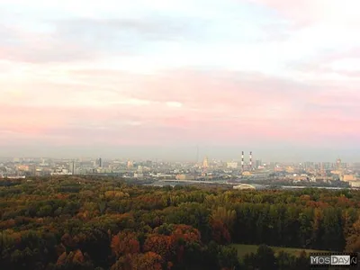 Воробьевы горы. Фотограф Алексей