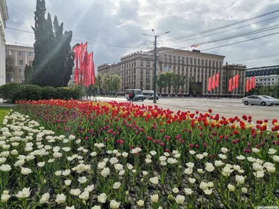 Фотография Ночной Воронеж, автор Деревенский