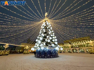 Кафе «Воронеж», Москва: цены, меню, адрес, фото, отзывы — Официальный сайт  Restoclub