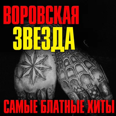 звезда в векторе