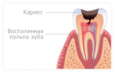 Пластические операции в полости рта для детей в Курске