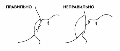 Общие сведения о вагините (инфекция или воспаление влагалища) - Проблемы со  здоровьем у женщин - Справочник MSD Версия для потребителей