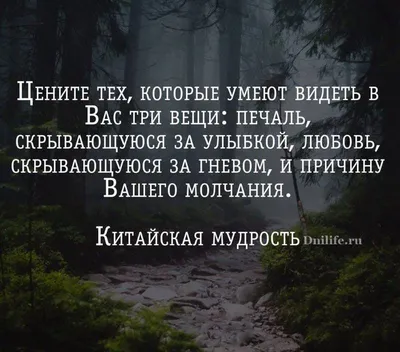 О чем нам говорит восточная мудрость | Дни.Жизнь.Суть | Самые смешные  цитаты, Цитаты о благодарности, Мудрость