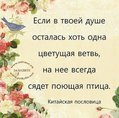 восточная стихи в картинках: 13 тыс изображений найдено в Яндекс.Картинках  | Японские цитаты, Мудрость, Вдохновляющие цитаты