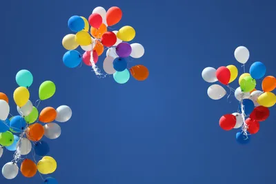 Круглый стол на тему «Запрет на массовый запуск в небо гелиевых воздушных  шариков» прошел в Московской области / Публикации / Городской округ Балашиха