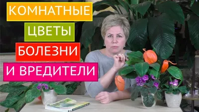 Вредители комнатных растений