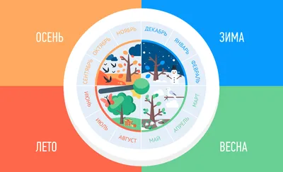Плакат Открытая планета Времена года купить по цене 535 ₽ в  интернет-магазине Детский мир