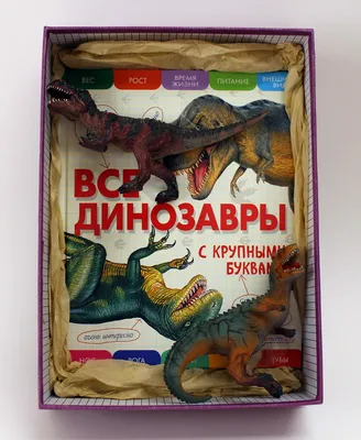 Сколько было видов динозавров? 500 родов, более 1000 видов в настоящее  время изучены палеонтологами. Все динозавры делятся на два отряда:… |  Instagram