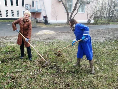 Все на субботник!