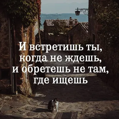 Все сбудется. стоит только расхотеть | Мудрые цитаты, Позитивные цитаты,  Вдохновляющие цитаты