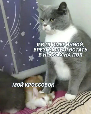 тут#все#шутки | TikTok