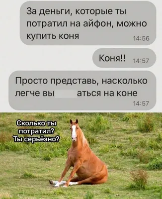 Это все шутки😄 Но иногда не шутки😳 | Instagram