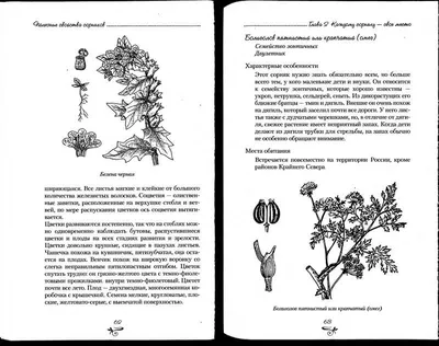 Сорняки (декоративный сад: издание для садоводов). | Растения, Кустарники,  Цветники