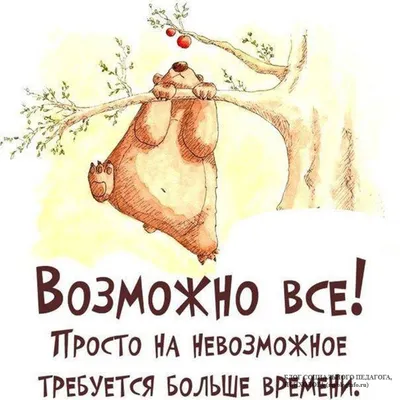 Все возможно | Homelly