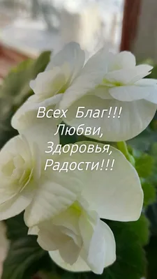 Красивые открытки \"С Днем Рождения!\" бесплатно (100+)