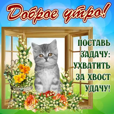 Всем самого доброго утра! В жизни будет пусть удача И искрится звонкий  смех! А еще пускай, в придачу, Счастье будет и успех! | Смех, Фотографии, Доброе  утро