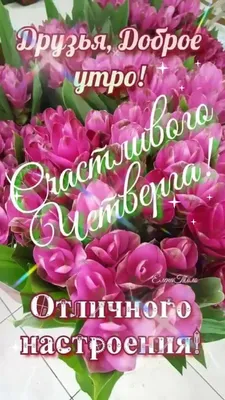 Всем доброго утра, хорошего настроения, мира, счастья и добра!