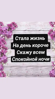 Всем спокойной ночи, Соседи Же. Спасибо что вы есть🤗🤗🤗 | Соседи Же |  Железнодорожный | ВКонтакте