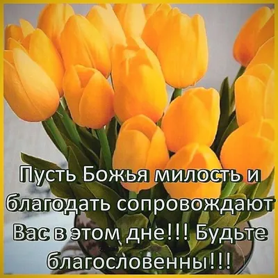 🌺 Здоровья! | Поздравления, пожелания, открытки! | ВКонтакте