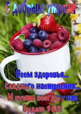 Доброе 💐🌞☕🍋🌿 Утро всем! | Доброе утро, Счастливые картинки, Здоровье