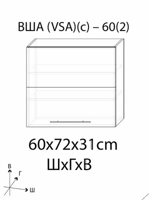 Вша фото крупным планом