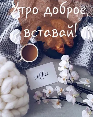 Доброе Утро хорошего настроения😊 Солнышко моё вставай! #доброеутро #х... |  TikTok