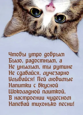 Пин от пользователя Taniy на доске Для дітей | Романтические идеи, Доброе  утро, Открытки